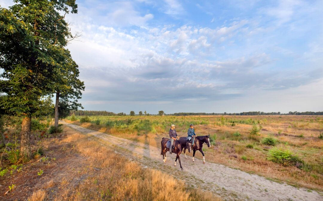 Ruiterroutes, Drents-Friese Wold