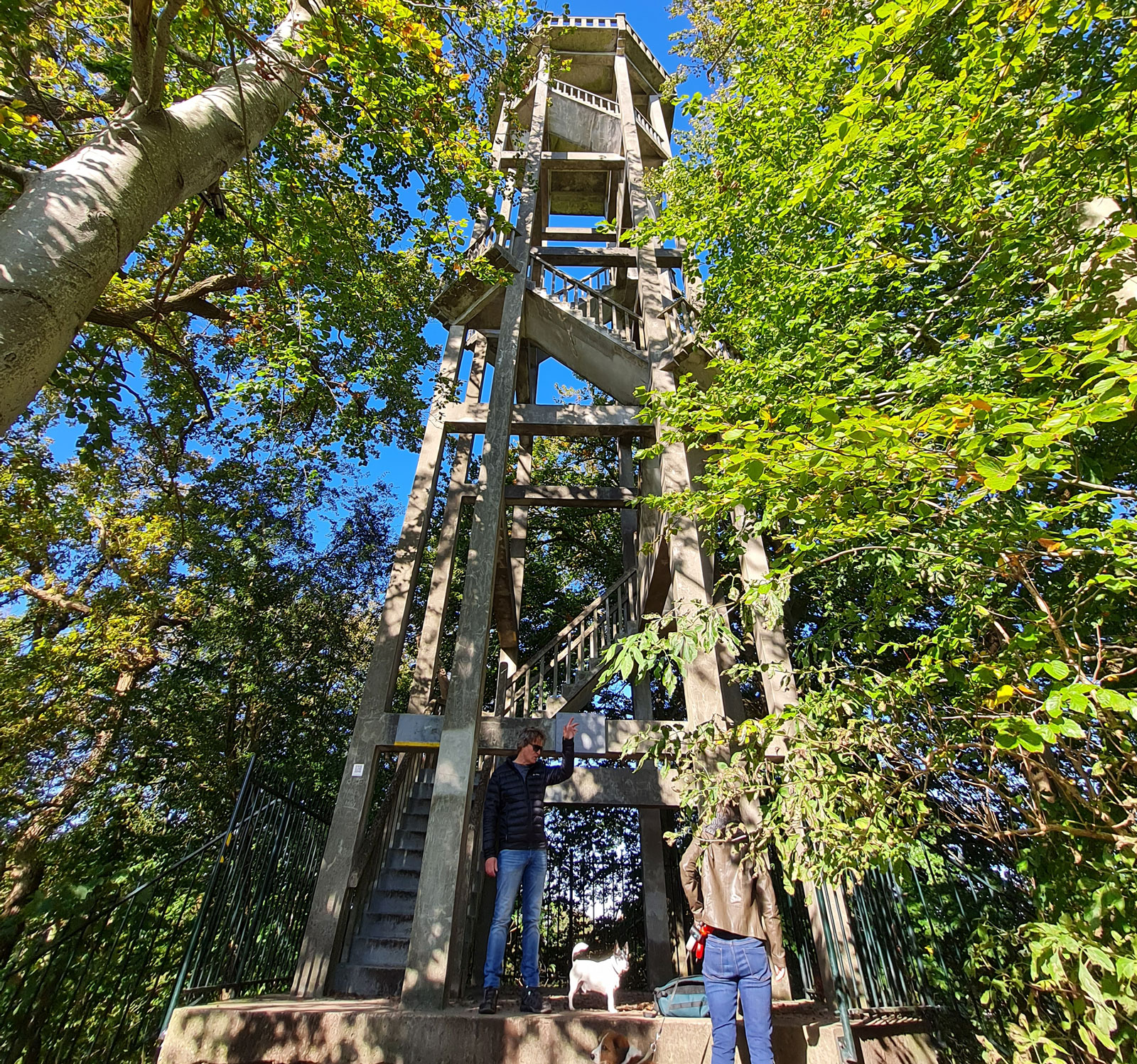 Uitkijktoren Belvedere Oranjewoud Beleef het lage noordenHenk Vondeling