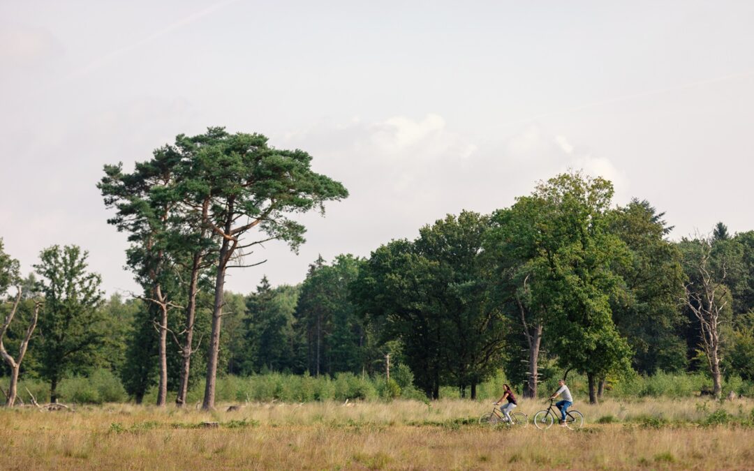 Nationaal Park Drentsche Aa