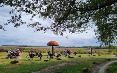 Fietstocht door Norg, Peest, Zuidvelde en Westervelde (22,6 – 29,6km.)